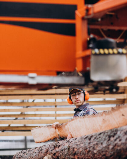 Timber Production